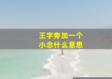 王字旁加一个小念什么意思