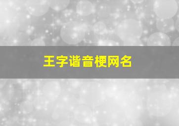 王字谐音梗网名