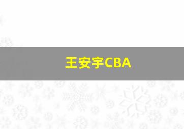 王安宇CBA