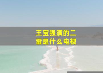 王宝强演的二雷是什么电视