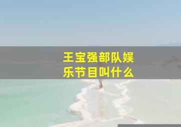 王宝强部队娱乐节目叫什么