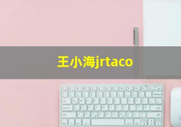 王小海jrtaco