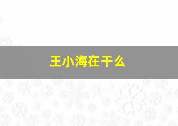 王小海在干么