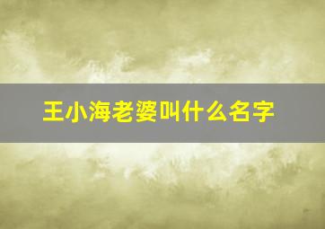 王小海老婆叫什么名字