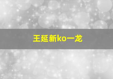 王延新ko一龙