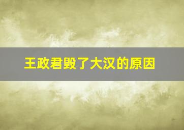 王政君毁了大汉的原因