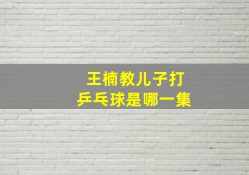 王楠教儿子打乒乓球是哪一集