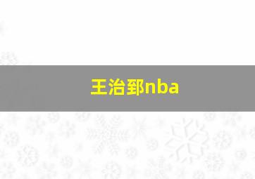 王治郅nba