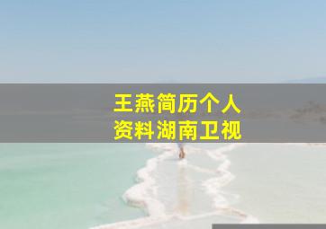 王燕简历个人资料湖南卫视