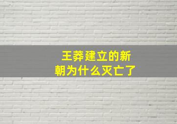 王莽建立的新朝为什么灭亡了