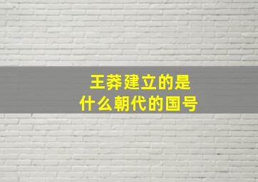 王莽建立的是什么朝代的国号