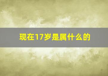 现在17岁是属什么的