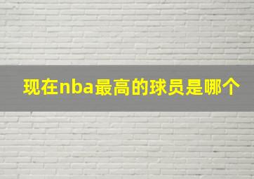 现在nba最高的球员是哪个