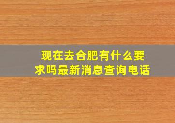 现在去合肥有什么要求吗最新消息查询电话