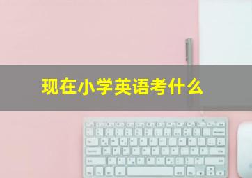 现在小学英语考什么