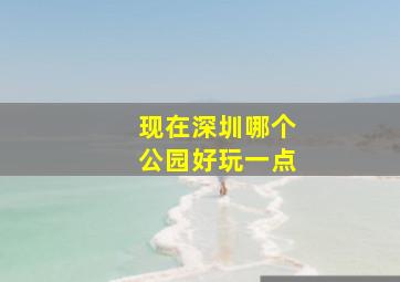 现在深圳哪个公园好玩一点