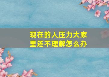 现在的人压力大家里还不理解怎么办