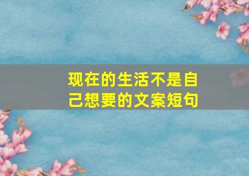 现在的生活不是自己想要的文案短句