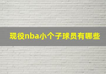 现役nba小个子球员有哪些