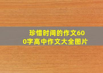 珍惜时间的作文600字高中作文大全图片