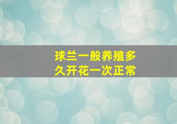 球兰一般养殖多久开花一次正常