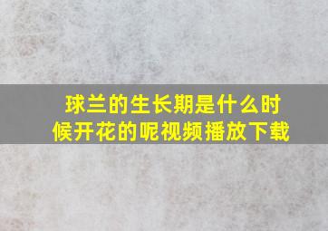 球兰的生长期是什么时候开花的呢视频播放下载