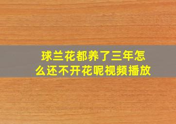 球兰花都养了三年怎么还不开花呢视频播放