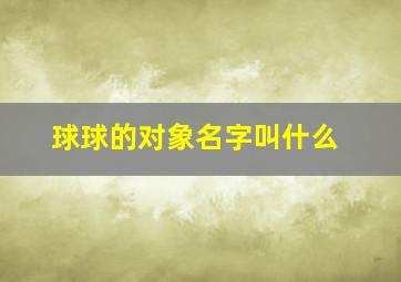 球球的对象名字叫什么