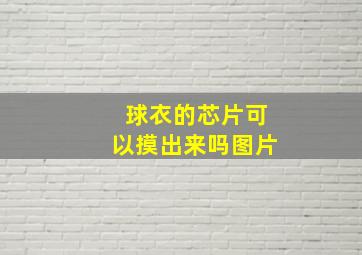 球衣的芯片可以摸出来吗图片