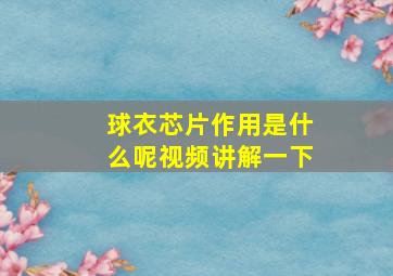 球衣芯片作用是什么呢视频讲解一下