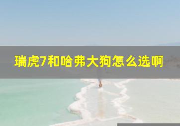 瑞虎7和哈弗大狗怎么选啊