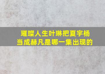 璀璨人生叶琳把夏宇杨当成赫凡是哪一集出现的