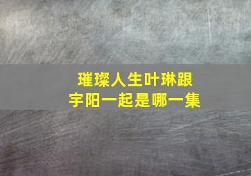 璀璨人生叶琳跟宇阳一起是哪一集