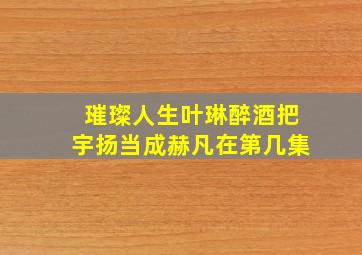 璀璨人生叶琳醉酒把宇扬当成赫凡在第几集