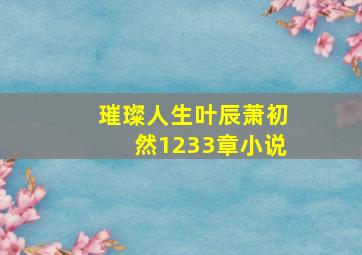 璀璨人生叶辰萧初然1233章小说