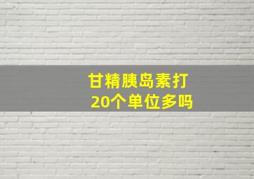 甘精胰岛素打20个单位多吗