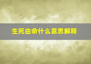 生死由命什么意思解释