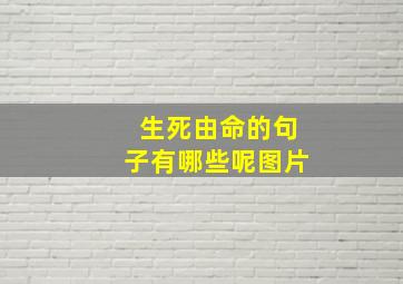 生死由命的句子有哪些呢图片