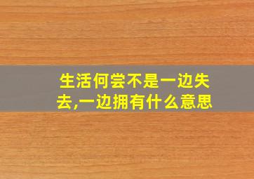 生活何尝不是一边失去,一边拥有什么意思