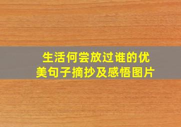 生活何尝放过谁的优美句子摘抄及感悟图片