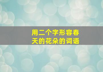 用二个字形容春天的花朵的词语