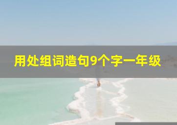 用处组词造句9个字一年级