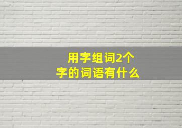 用字组词2个字的词语有什么