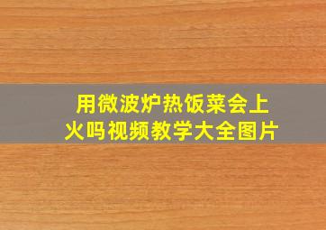 用微波炉热饭菜会上火吗视频教学大全图片