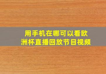 用手机在哪可以看欧洲杯直播回放节目视频