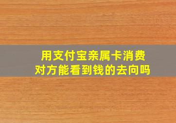 用支付宝亲属卡消费对方能看到钱的去向吗