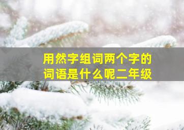 用然字组词两个字的词语是什么呢二年级