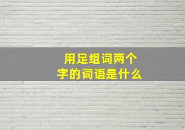 用足组词两个字的词语是什么