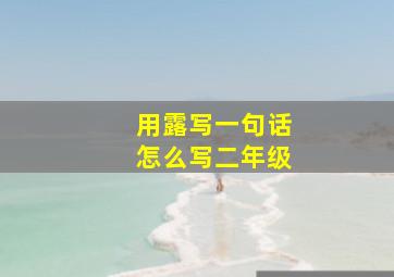 用露写一句话怎么写二年级