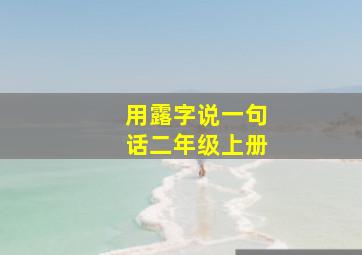 用露字说一句话二年级上册